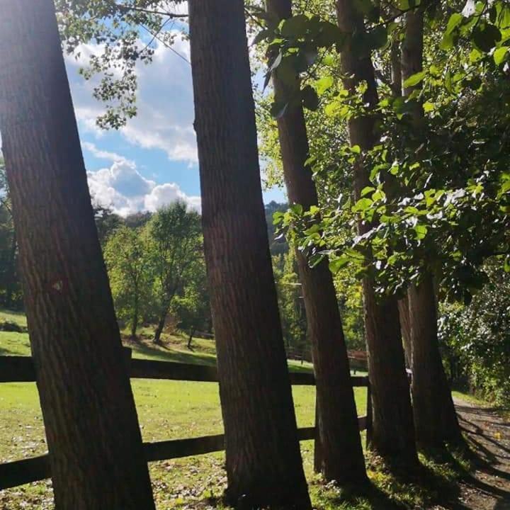 Apartmán Poljoprivredno Turisticko Domacinstvo Deguric Valjevo Exteriér fotografie