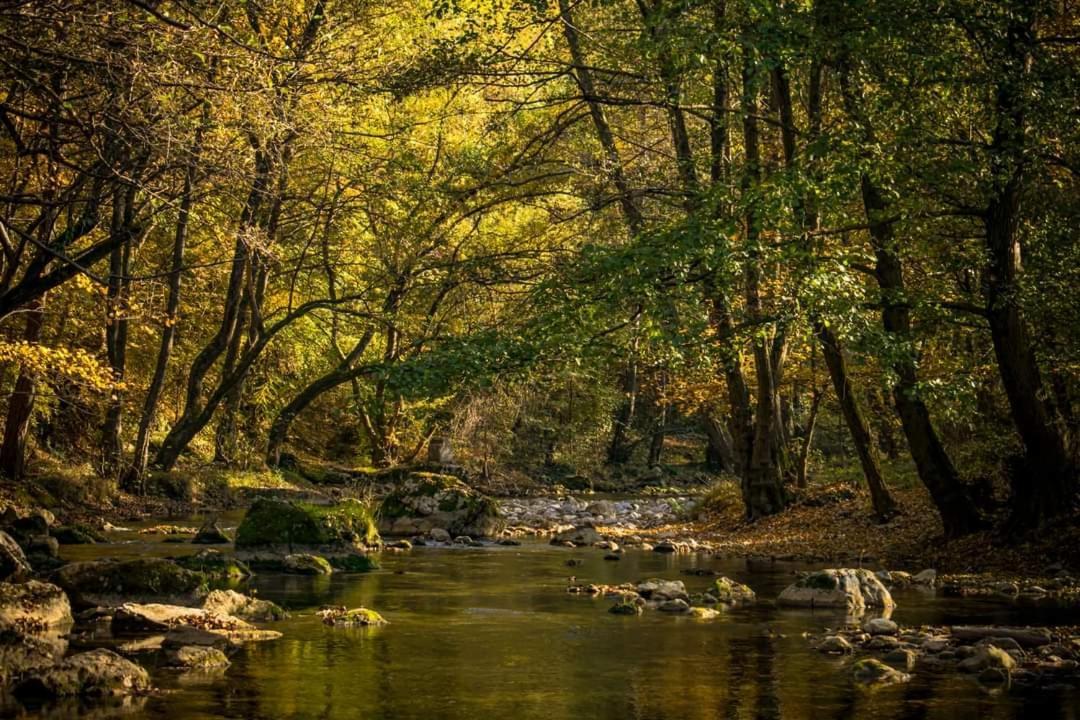 Apartmán Poljoprivredno Turisticko Domacinstvo Deguric Valjevo Exteriér fotografie