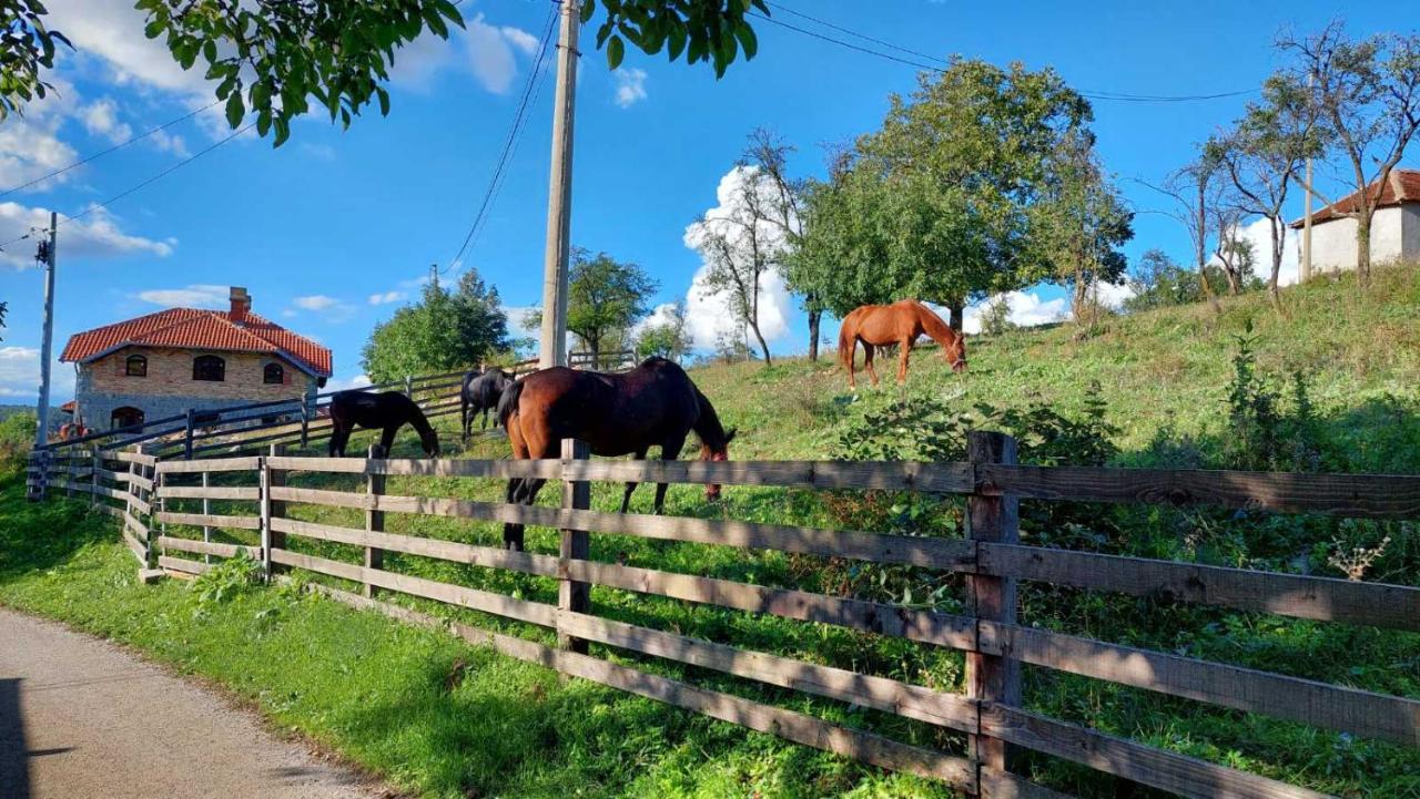 Apartmán Poljoprivredno Turisticko Domacinstvo Deguric Valjevo Exteriér fotografie