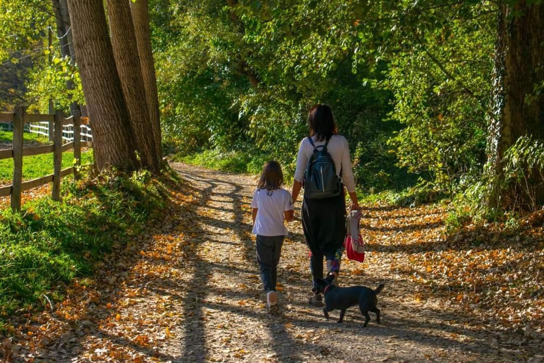 Apartmán Poljoprivredno Turisticko Domacinstvo Deguric Valjevo Exteriér fotografie